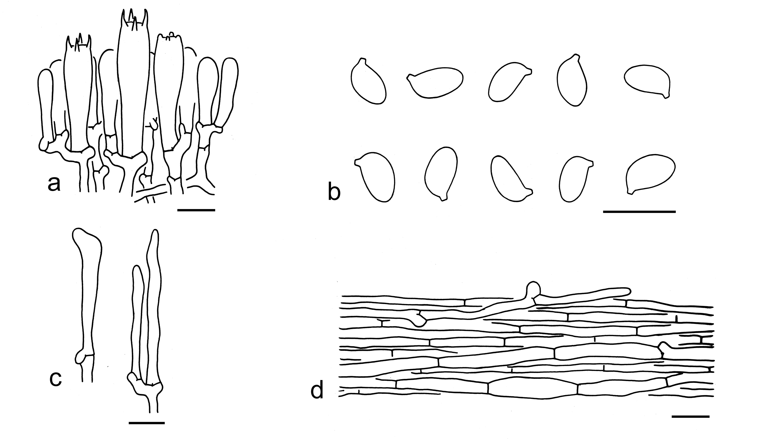 Figure 83